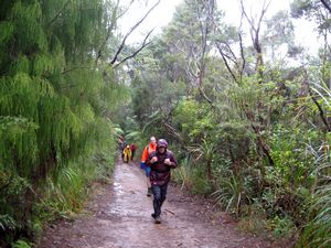 Image of cascadebethells09cetrack.jpg