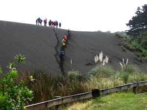 Image of cascadebethells09fagrunt.jpg