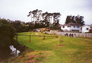 Image of cascadegrasshice2.jpg