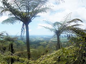 Image of cbgovanwilson07a.jpg