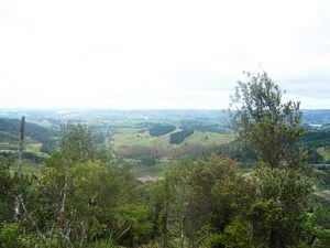 Image of cbgovanwilson07c.jpg