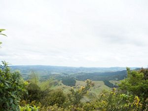 Image of cbgovanwilson07d.jpg