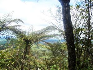 Image of cbgovanwilson07e.jpg