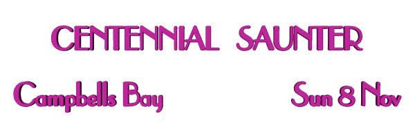 Image of centennialsaunter09.gif