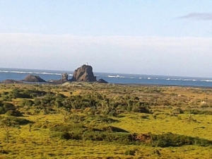 Image of challenge15a.jpg