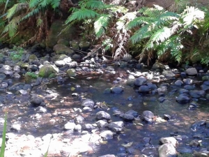 Image of challenge15b.jpg