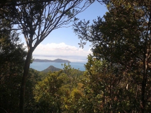 Image of challenge15d.jpg