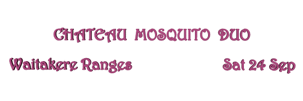 Image of chateaumosquito11.gif