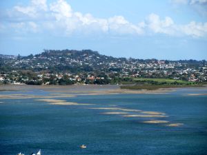 Image of chelseaapr11agmeolareef.jpg