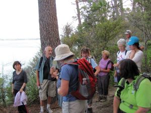 Image of chelseaapr11ccstop.jpg