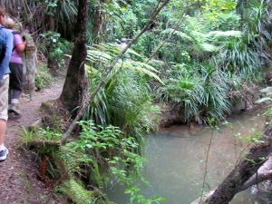 Image of chelseaapr11eistream.jpg