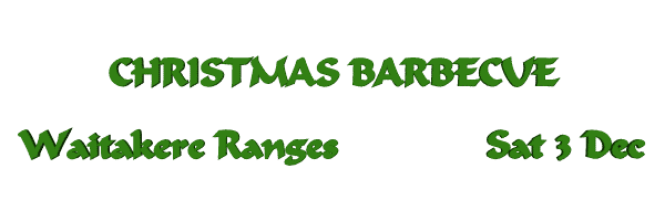 Image of christmasbbq16.gif
