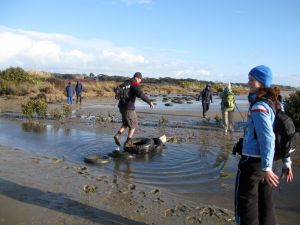 Image of clarksbeach10bibridge.jpg