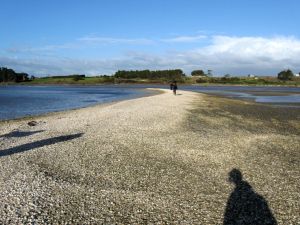 Image of clarksbeach10cgshellbank.jpg