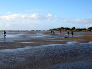 high tide clarks beach
