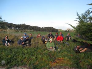 Image of clarksbeach10eafeedthebirds.jpg