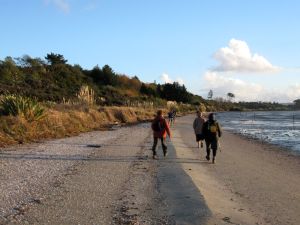 Image of clarksbeach10fjwalk.jpg