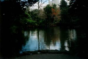Image of coast02duckpond.jpg