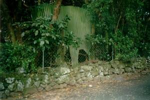 Image of coast02elephant.jpg