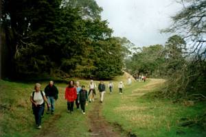 Image of coast02onetreehillascent.jpg