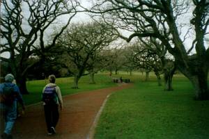 Image of coast02onetreehilloldroad.jpg