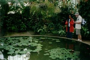 Image of coast02tropicalhouse.jpg