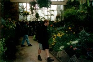 Image of coast02wintergarden.jpg