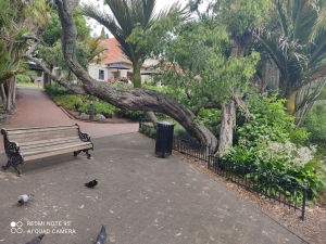 Image of coast2coastnov20a.jpg