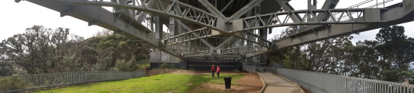 Image of coathanger20f.jpg