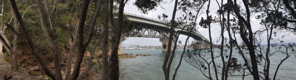 Image of coathanger20g.jpg