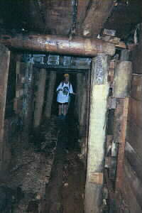 Image of collinsdrive2q.jpg