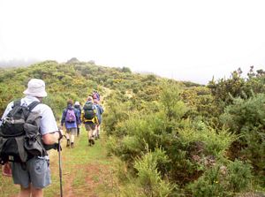 Image of colville05afterelevenses4.jpg