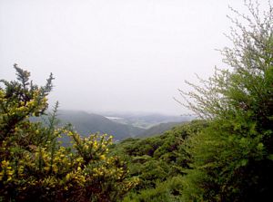 Image of colville05firstglimpsecolville.jpg