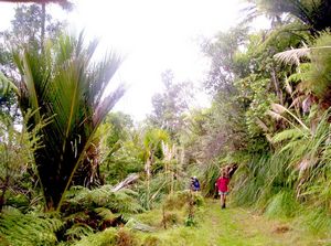 Image of colville05nikaus.jpg