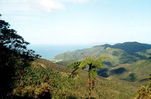 Image of colville05oldfoto.jpg