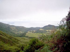 Image of colville05pinesamodeobay.jpg