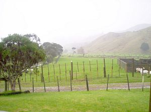 Image of colville05wetsundaymorning.jpg