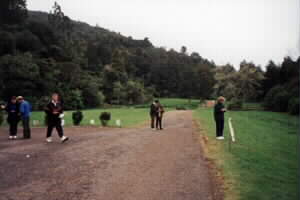 Image of compass2001pacingq.jpg