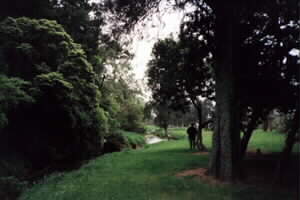 Image of compass2001streamq.jpg