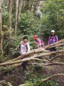 Image of conicalpeakmar23c.jpg