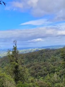 Image of conicalpeakmar23f.jpg