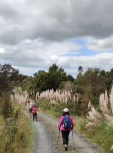 Image of conicalpeakmar23n.jpg