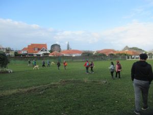 Image of cornwallparkaug23j.jpg