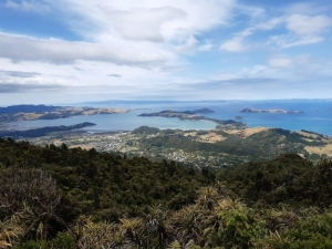 Image of coromandelfeb21a2.jpg