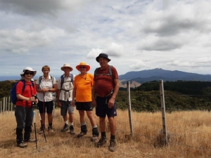 Image of coromandelfeb21a3.jpg