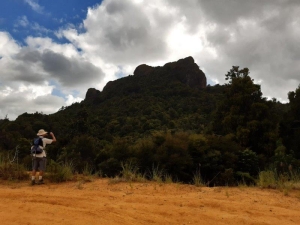 Image of coromandelfeb21a5.jpg