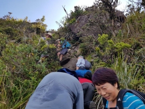 Image of coromandelfeb21a6.jpg