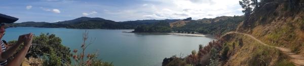 Image of coromandelfeb21i.jpg