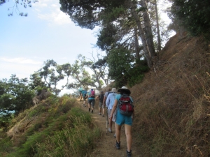 Image of coromandelfeb21q.jpg