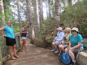 Image of coromandelfeb21s.jpg